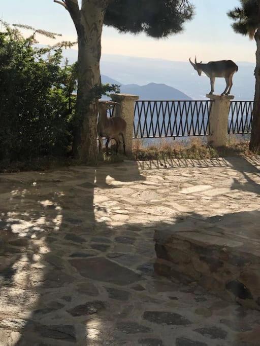Luxury Apartment Sierra Nevada Granada Exterior photo